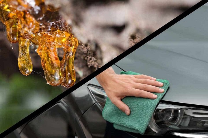 The Best Way to Remove Tree Sap from Your Car - DIY Auto ...